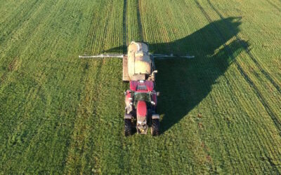 Verschiebung der Kernsperrfrist im Ringgebiet